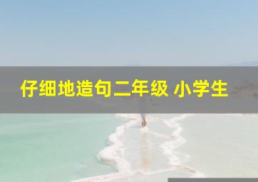 仔细地造句二年级 小学生